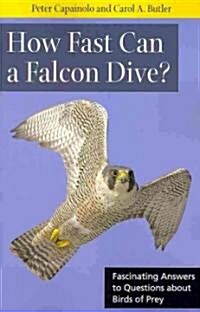 How Fast Can a Falcon Dive?: Fascinating Answers to Questions about Birds of Prey (Paperback)