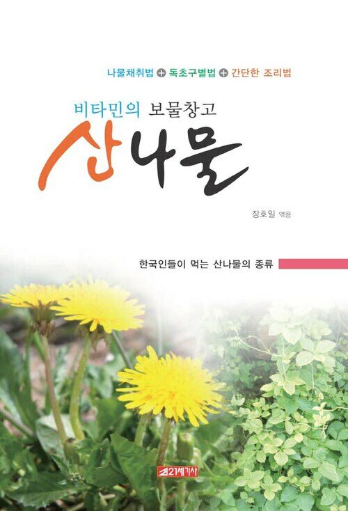 비타민의 보물창고 산나물