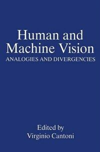 Human and machine vision : analogies and divergencies