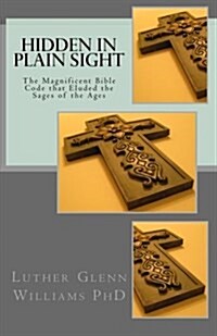 Hidden in Plain Sight: The Magnificent Bible Code That Eluded the Sages of the Ages (Paperback)