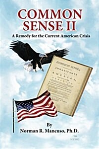 Common Sense II: A Remedy for the Current American Crisis (Paperback)