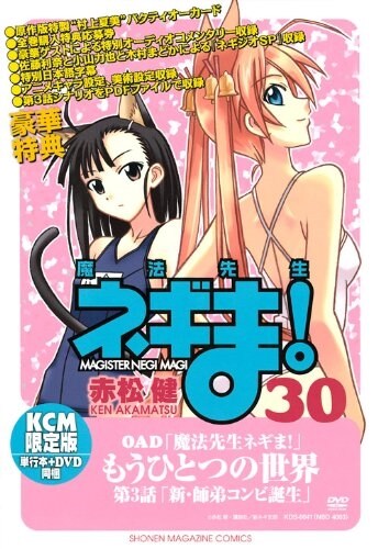 DVD付き初回限定版 魔法先生ネギま! 第30卷 (コミック)