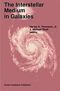 The Interstellar Medium in Galaxies (Paperback, Softcover Repri)