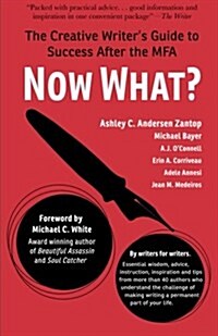 Now What?: The Creative Writers Guide to Success After the Mfa (Paperback)