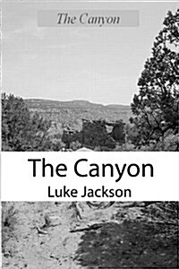 The Canyon (Paperback)