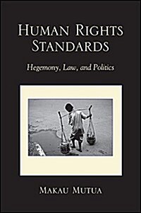 Human Rights Standards: Hegemony, Law, and Politics (Hardcover)