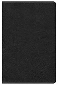 Large Print Personal Size Bible-HCSB (Imitation Leather)