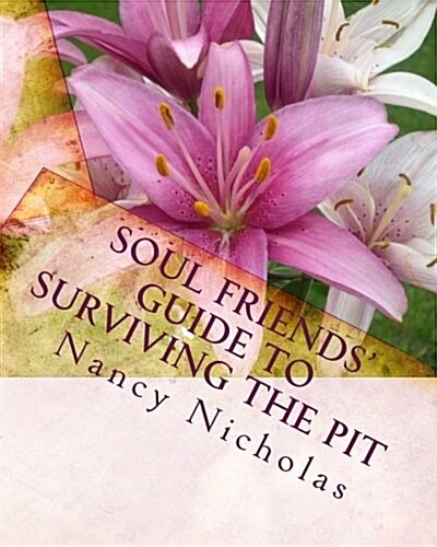 Soul Friends Guide to Surviving the Pit: A Step-By-Step Handbook for Surviving and Thriving Through Tough Life Changes (Paperback)