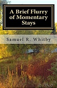 A Brief Flurry of Momentary Stays (Paperback)