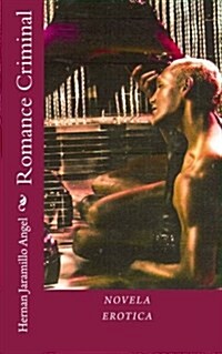 Romance Criminal (Paperback)