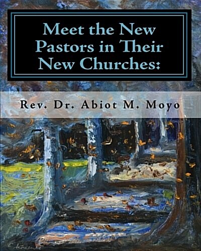 Meet the New Pastors in Their New Churches: How Can the Church Hierarchy Help Them Serve Faithfully (Paperback)