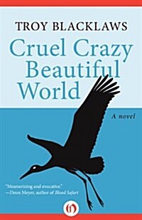 Cruel Crazy Beautiful World (Hardcover)