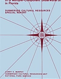 8sl17: Natural Site-Formation Processes of a Multiple-Component Underwater Site in Florida (Paperback)