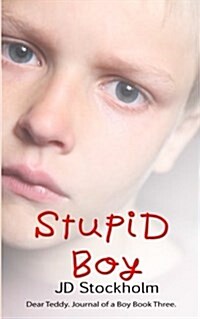 Stupid Boy: Dear Teddy: A Journal of a Boy (Volume 3) (Paperback)