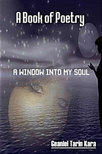 Window Into My Souls (Paperback)