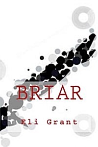 Briar: A Scarecrow Story (Paperback)