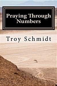 Praying Through Numbers (Paperback)