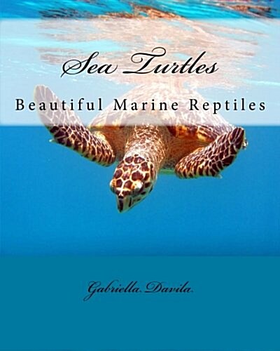 Sea Turtles: Beautiful Marine Repitles (Paperback)