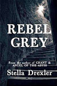 Rebel Grey: A Dystopian Teen Fantasy (Paperback)