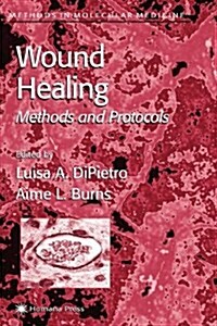 Wound Healing: Methods and Protocols (Paperback)