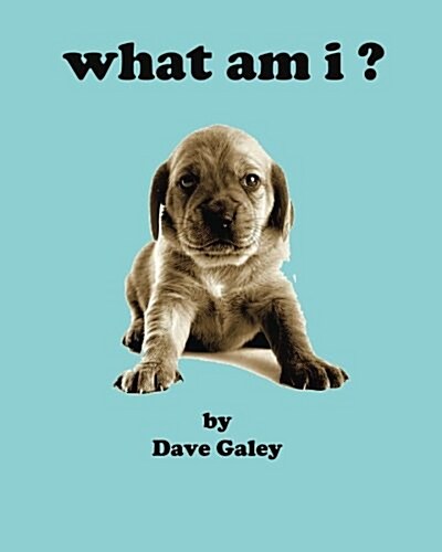 What Am I (Paperback)