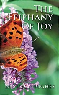 The Epiphany of Joy (Paperback)