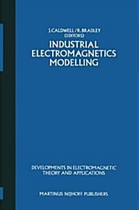 Industrial Electromagnetics Modelling: Proceedings of the Polymodel 6, the Sixth Annual Conference of the North East Polytechnics Mathematical Modelli (Paperback, Softcover Repri)