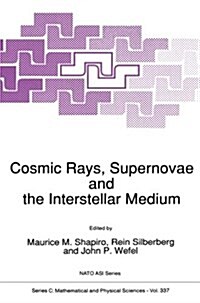 Cosmic Rays, Supernovae and the Interstellar Medium (Paperback, Softcover Repri)