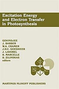 Excitation Energy and Electron Transfer in Photosynthesis: Dedicated to Warren L. Butler (Paperback, Softcover Repri)