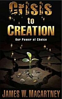 Crisis to Creation (Paperback, 1st)