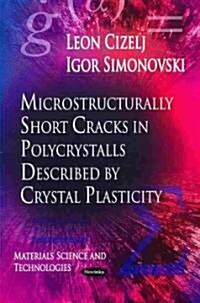 Microstructurally Short Cracks in Polycrystals Described by Crystal Plasticity (Paperback, UK)