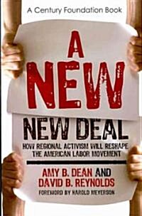 A New New Deal (Paperback)