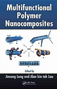 Multifunctional Polymer Nanocomposites (Hardcover)