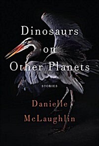 Dinosaurs on Other Planets: Stories (Hardcover, Deckle Edge)