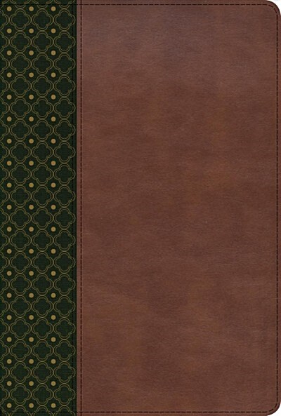 Biblia de Estudio Scofield-Rvr 1960 (Imitation Leather)