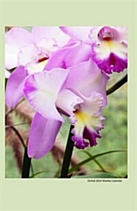 Orchid 2014 Weekly Calendar: 2014 weekly calendar with a photo of a purple orchid (Paperback)