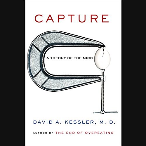 Capture: Unraveling the Mystery of Mental Suffering (Audio CD)