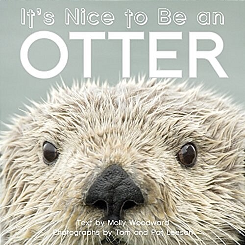Its Nice to Be an Otter (Board Books)