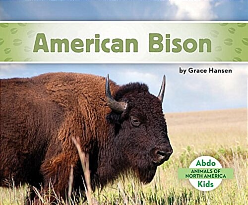 American Bison (Library Binding)