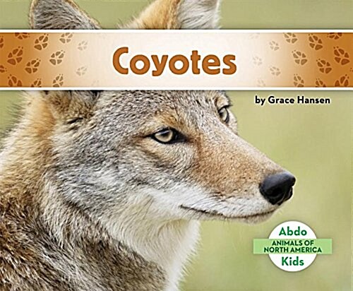 Coyotes (Library Binding)