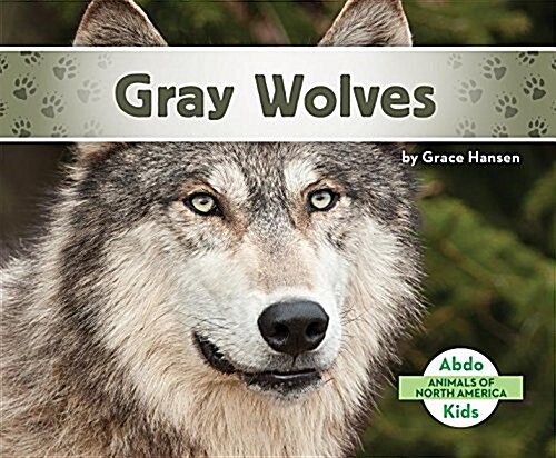 Gray Wolves (Library Binding)