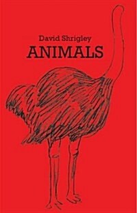 [중고] David Shrigley : Animals (Hardcover)