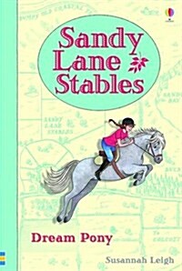 Sandy Lane Stables Dream Pony (Hardcover)