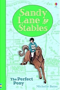 Sandy Lane Stables The Perfect Pony (Hardcover)