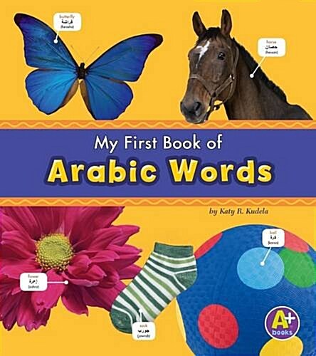 Arabic Words (Paperback)