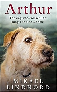 Arthur : The dog who crossed the jungle to find a home (Paperback)