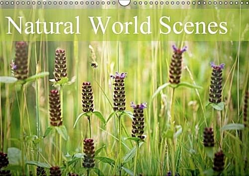 Natural World Scenes 2016 : Images from the Natural World (Calendar)