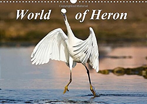 World of Heron 2016 : The Most Common Herons from All Around the World (Calendar)