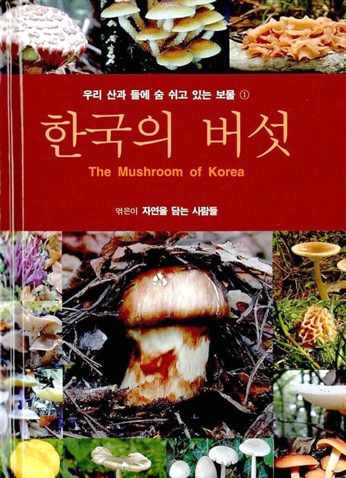 [중고] 한국의 버섯