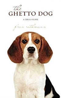 The Ghetto Dog: A True Story (Paperback)